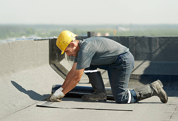 Best Specialty Insulation in Grant Park, IL