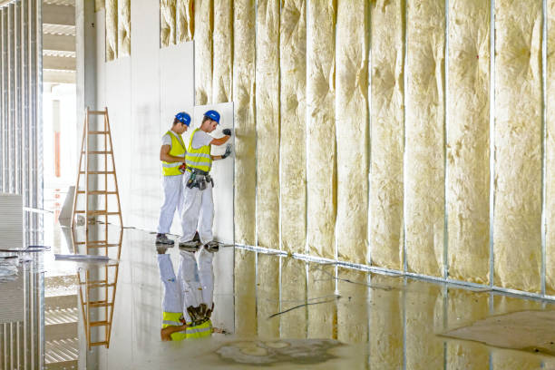Best Insulation Maintenance and Repair in Grant Park, IL